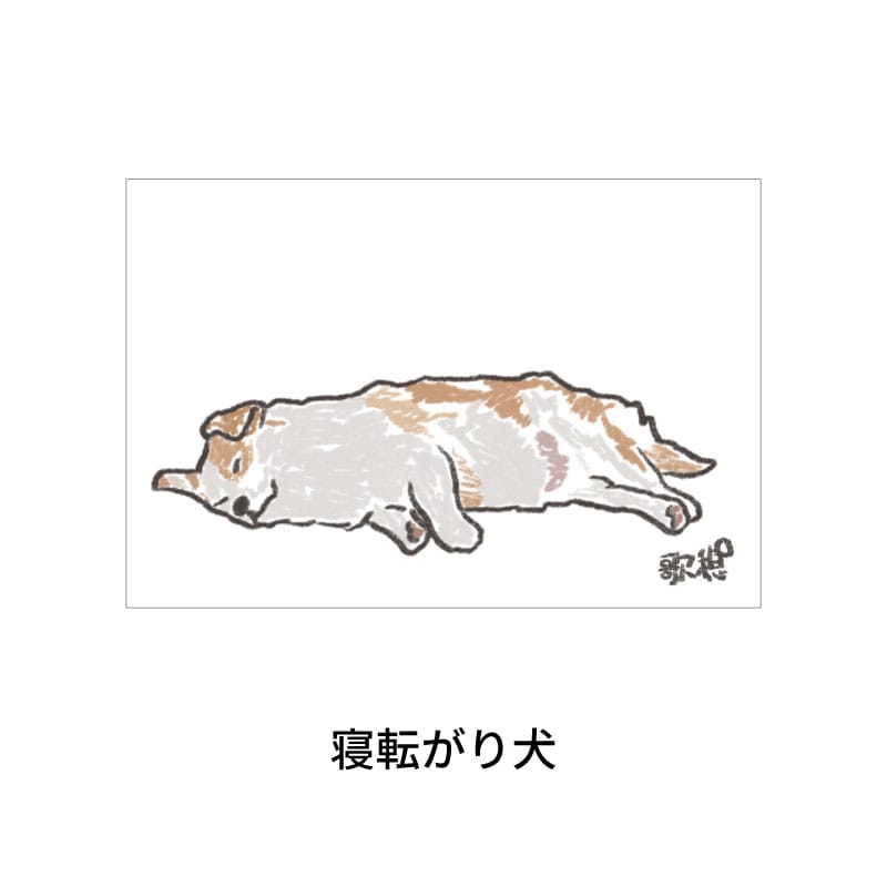 寝転がり犬