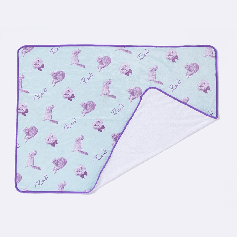 Scottish Fold　Blanket