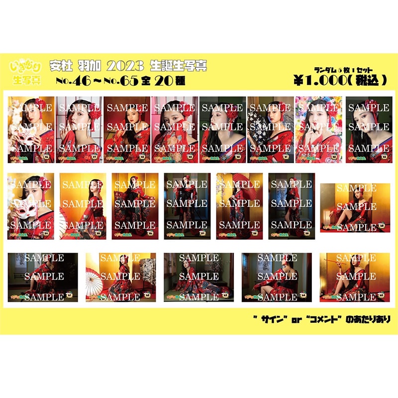 安杜羽加　生誕生写真（No.46‐65）