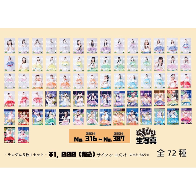 いぎなり生写真(2024 No.316-No.387)