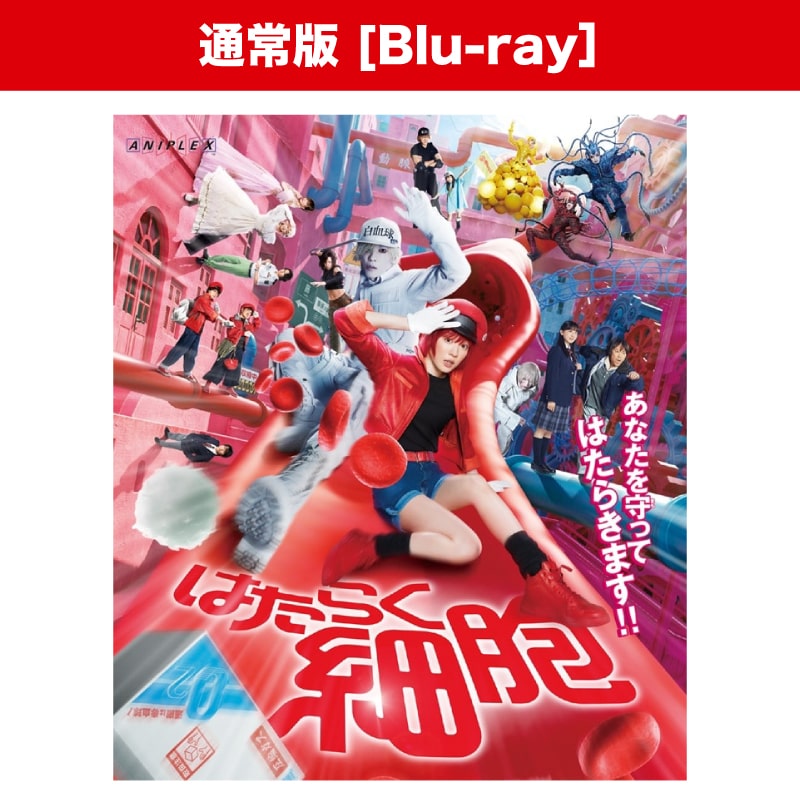 映画「はたらく細胞」【通常版】Blu-ray