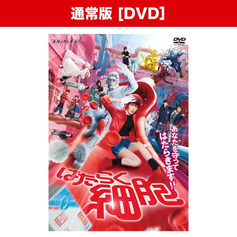映画「はたらく細胞」【通常版】DVD